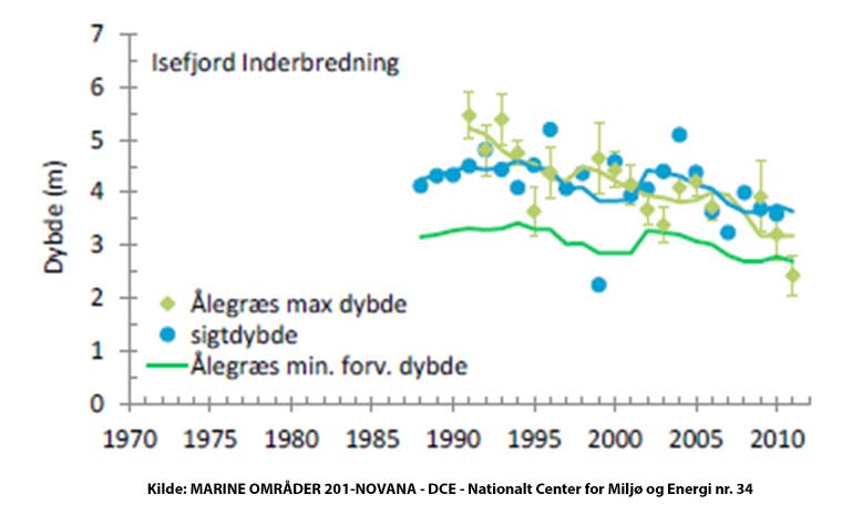 Ålegræs og sigtdybde i Isefjordens inderbredning 1988-2011